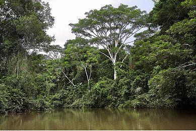 《命运2》公布“终焉之形”之后计划 并非新游戏《命运3》